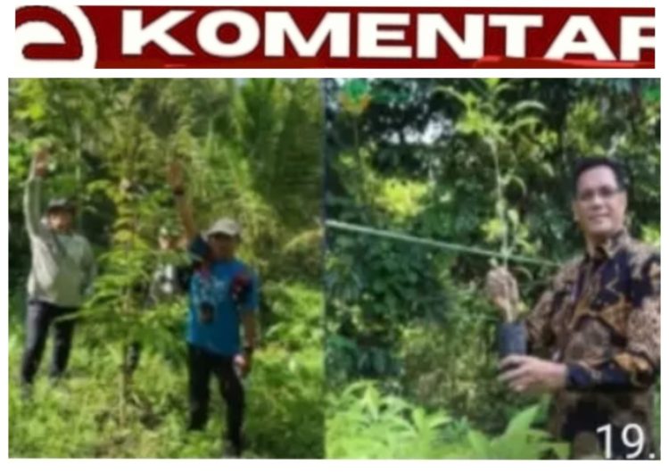 Alih Fungsi Lahan Picu Kerusakan DAS, KLHK Perkuat Rehabilitasi Hutan dan Lahan di Sulawesi Utara